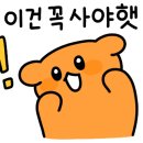 페퍼코인 노래연습장 이미지