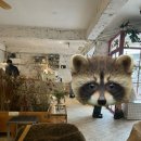 성호로 46 | 성수 카페 언라인 솔직 후기