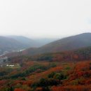 정선