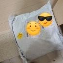 손달 | 쉬인 직구 후기_착샷