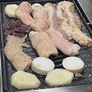 상락약국 | 2023 부산국제&gt;록&lt;페스티벌 후기 (부제: 불운 릴레이)