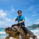 10월10일 정기산행 이미지