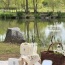 연희자연마당 공원 | 청라 디저트 카페 도프뮤지엄, 연희자연마당 피크닉 세트 벚꽃놀이