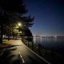 오렌지 | 뮤르디 모로오렌지 내돈내산 후기 14kg 감량했어요