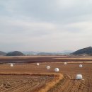 양촌약국 이미지