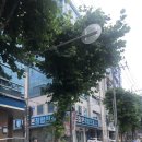 올디플란트치과의원 이미지