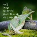 스타당구클럽 이미지