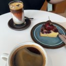 라비브