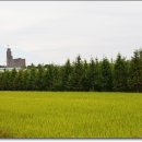 원우농장 이미지