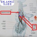 이룸PT 이미지