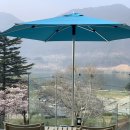 대나무공원 화장실 | 양산 벚꽃명소 추천 황산공원 벚꽃길 대형 카페 윤슬, 브런치는 어땠을까