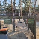 뛰뛰 강아지 놀이터 이미지