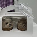 멍플랙스 이미지