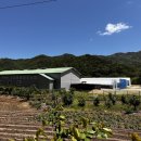 진부령계곡민박 이미지