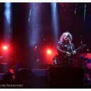 씨제이올리브영(주) 안산중앙로데오점 | [국제커플] 미국인 남편과 함께 다녀온 안산 밸리 록페스티벌 후기