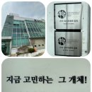 신원농장 | 경기도 일산 파충류 샵 [덕표내]도마뱀 분양 후기, 이구아나, 썬게이저, 리키에너스