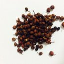 마라유혹 이미지