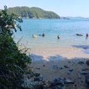 마레미오 이미지