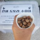 도토리PC 이미지