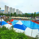 도그 스포지움 이미지