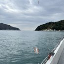 거제에서의하루 이미지