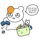 뉴발란스 브리즈 그레이 240 후기 / Breeze / SD2203GR