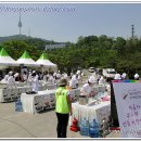 아름다운 떡, 한과 이미지