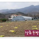 방골농장 Daum카페