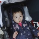 제이에스콜밴 이미지