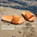 시트러스디자인 이미지