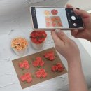 창업+부업~플라워 디자인 이미지