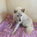 한들농장 이미지