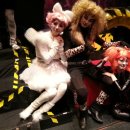 가족 뮤지컬 어린이 캣 이미지