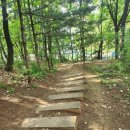 샛터근린공원 이미지