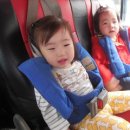 석호농원 이미지