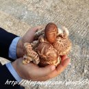 성원영농조합법인 이미지