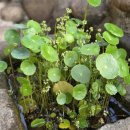 샘골공원2 이미지