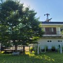 따오기품은 세진마을 이미지