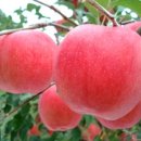 가장 아름다운 노래 이미지