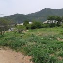 입석농장 이미지