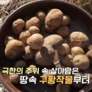 오케이내과의원 이미지