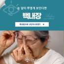 아미고 생활건강 | 분당백내장수술, 언제 받아야 할까? 초기 증상과 수술 과정 완벽 가이드