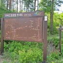 심적유원지 이미지