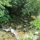 언덕나무펜션 이미지