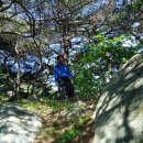 상열농장 이미지