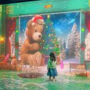 제주월드컵경기장 서귀포시실내암장 | 제주 서귀포 가볼만한곳 12월 제주도 서쪽 실내 놀거리 워터월드