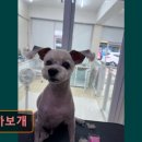까까보개 - 수성구 달구벌대로 2644 | 까까보개
