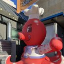 뽕빨낙지 | 속초 맛집 뽕빨낙지 후기 리뷰