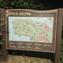동백섬 | 평일 저녁 야경이 아름다운 동백섬 산책 후기