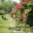 석남완충도시숲 이미지